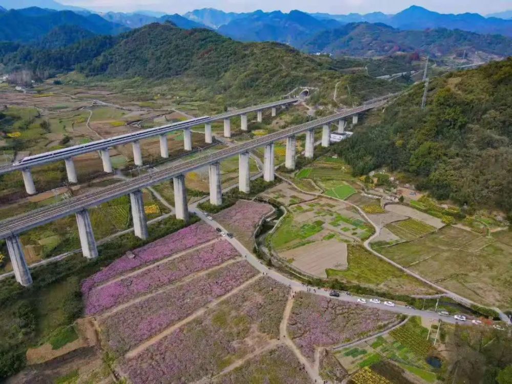高速危险：赛道安全革命的必要性的简单介绍