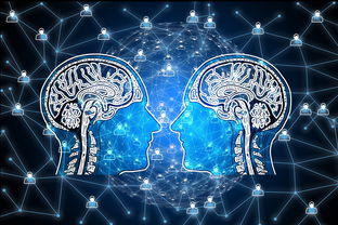 星空体育在线官网-篮球专项技能动作视频资源开发及多媒体教学，篮球动作技术